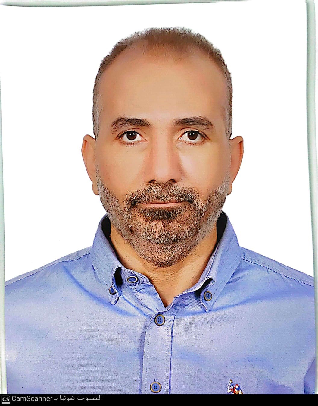 Prof.  Hani Ismail