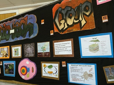 جانب من الأمسية العلمية